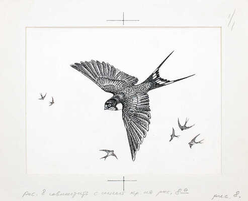 Кузнецов Леонид Трофимович. Макет из 27 иллюстраций и книга К.Д. Ушинского «Рассказы и сказки» (М.: Дет. лит., 1975)